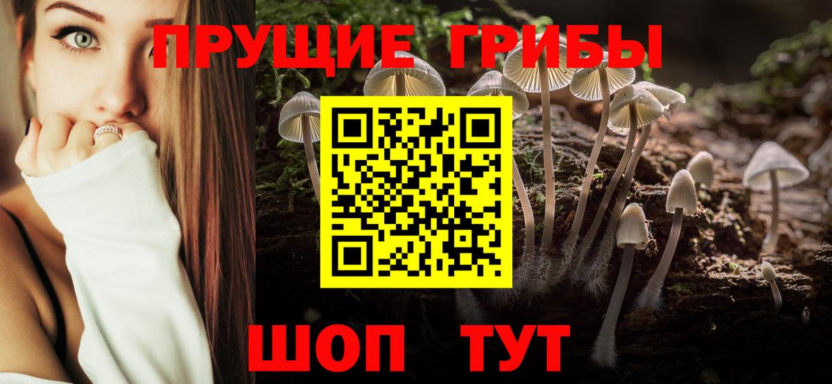 Галлюциногенные грибы прущие грибы  Вход с VPN  Саяногорск  наркошоп  Галлюциногенные грибы мицелий 